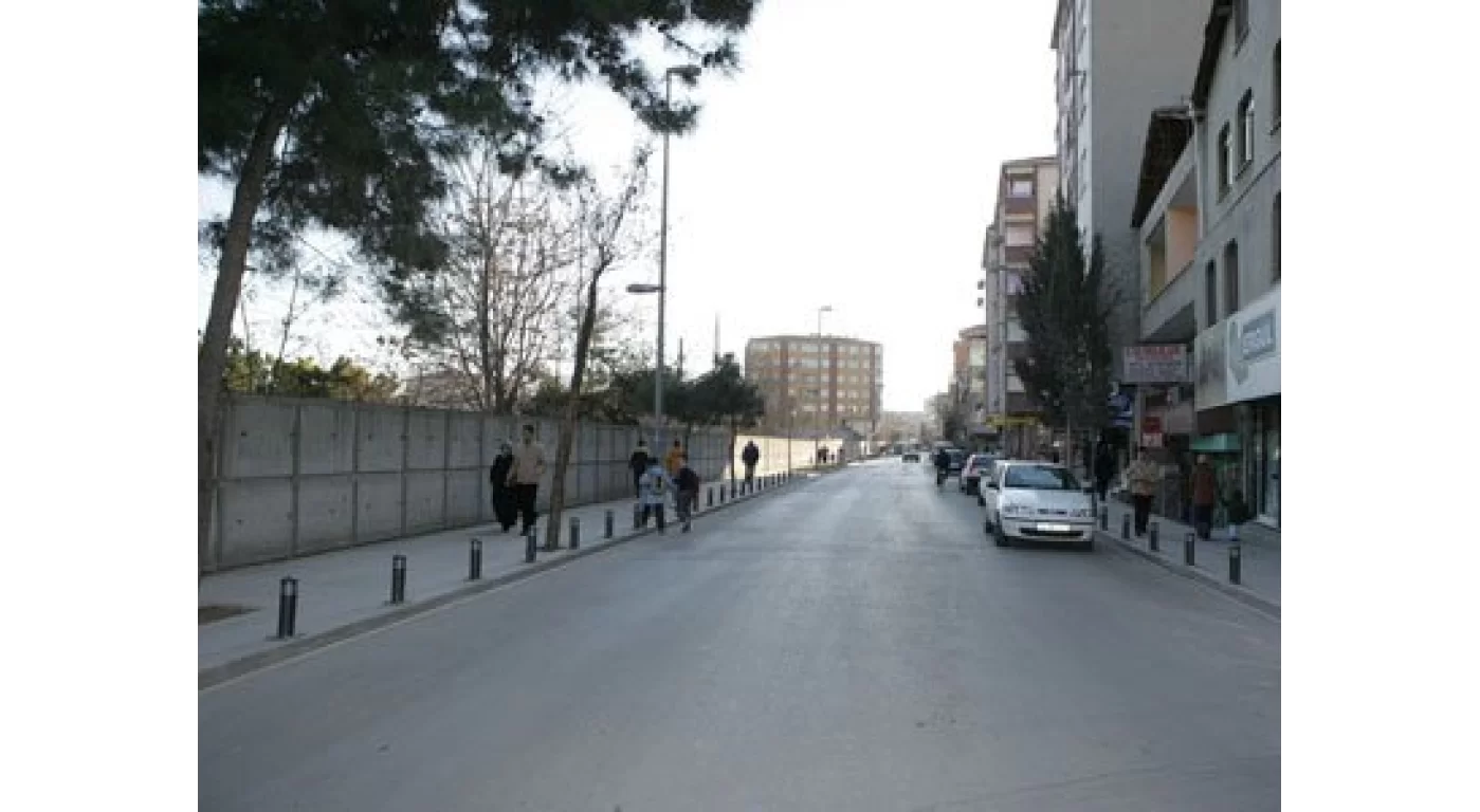 Baglar2