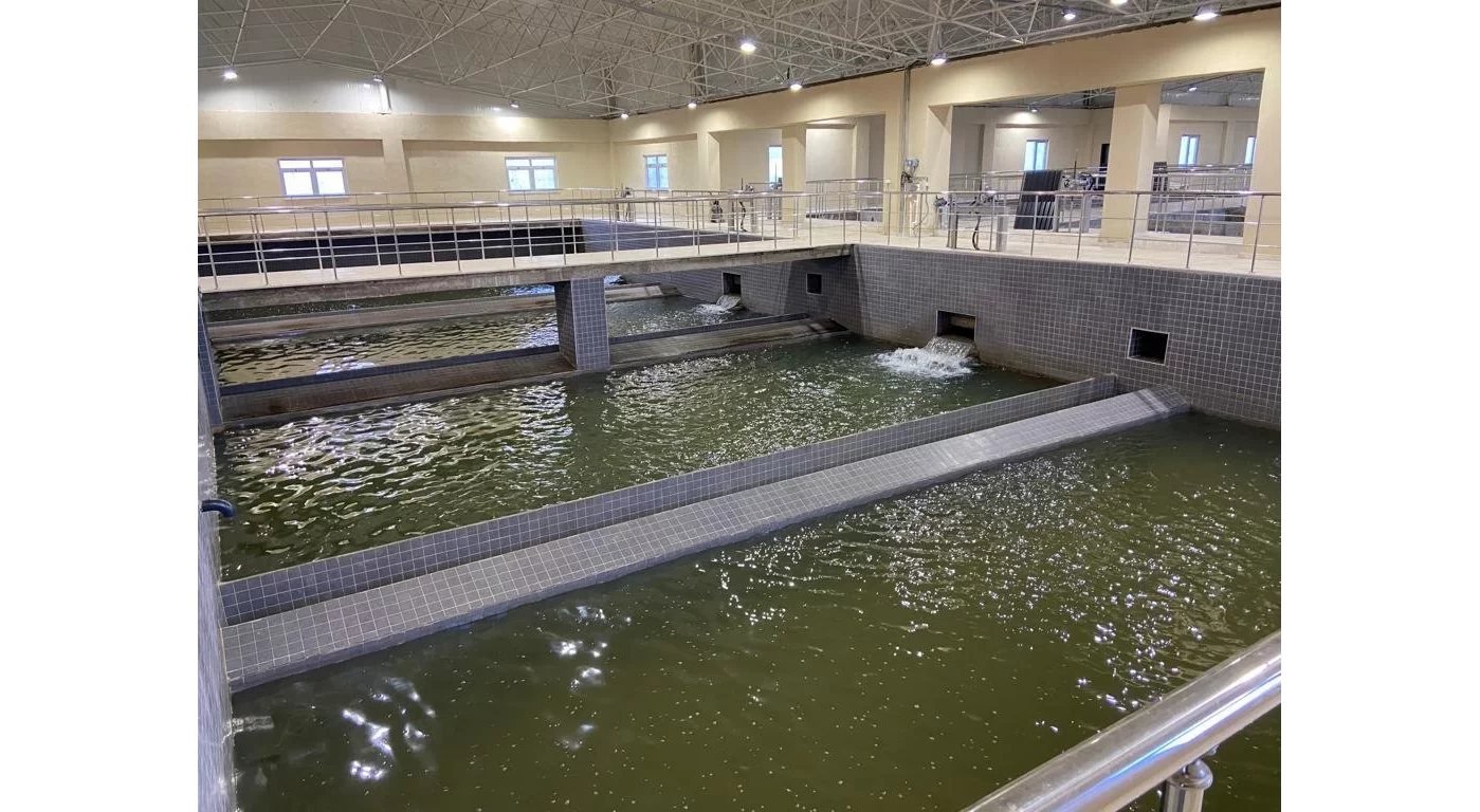 Whatsapp Image 2023 02 23 At 15