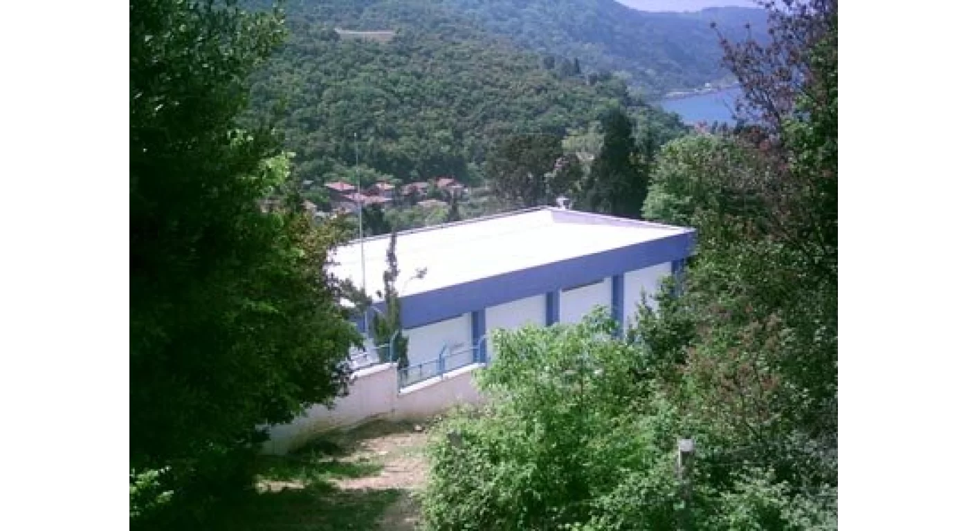 Elmali13