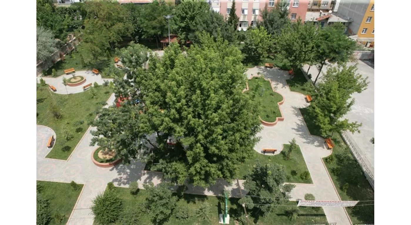 Ergulpark1
